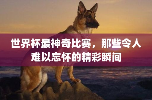 世界杯最神奇比赛，那些令人难以忘怀漯河市盈旭机械设备有限公司的精彩瞬间