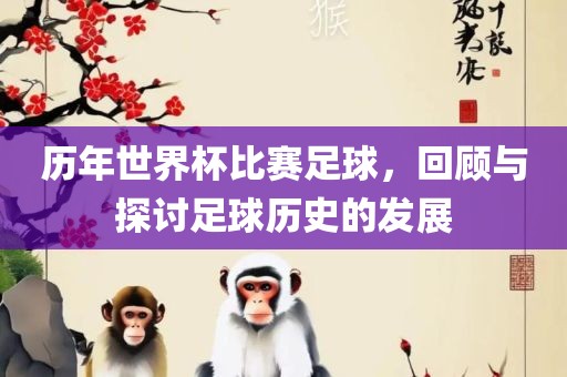 历年世界杯比赛足球，回顾与探讨足球历史的发展