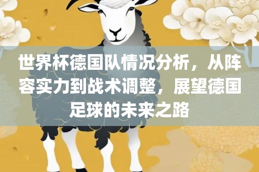 世界杯德国队情况分析，从阵容实力到战术调整，展望德国足球的未来之路漯河市盈旭机械设备有限公司