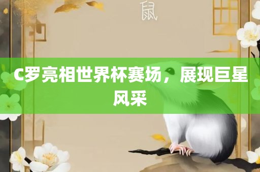 C罗亮相世界杯赛场，展现巨星风采漯河市盈旭机械设备有限公司