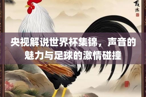 央视解说世界杯集锦，声音的魅力与足球的激情碰撞
