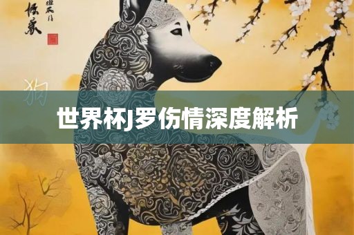 世界杯J罗漯河市盈旭机械设备有限公司伤情深度解析