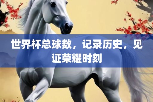 世界杯总球数，记录历史，见证荣耀时刻