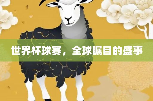 世界杯球赛，全球瞩目的盛事