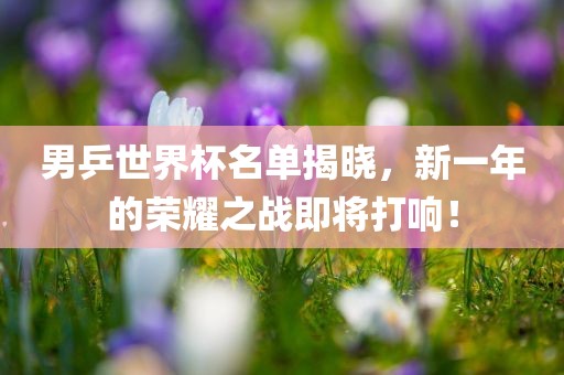 男乒世界杯名单揭晓，新一年的荣耀之战即将打响！