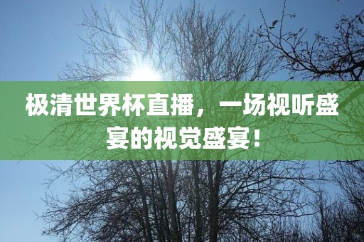 极清世界杯直播，一场视听盛宴的视觉盛宴！
