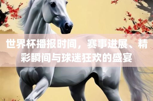 世界杯播报时间，赛事进展、精彩瞬间与球迷狂欢的盛宴