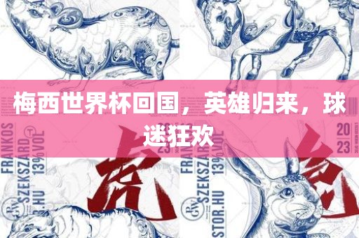 梅西世界杯回国，英雄归来，球迷狂欢