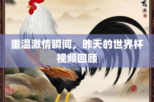 重温激情瞬间，昨天的世界杯视频回顾
