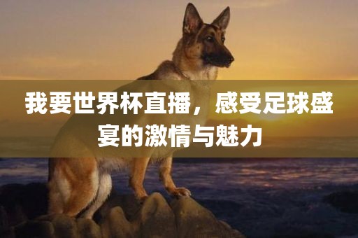 我要世界杯直播，感受足球盛宴的激情与魅力
