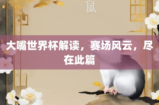 大嘴世界杯解读，赛场风云，尽在此篇