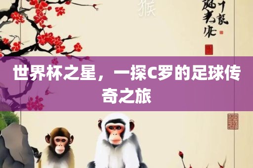 世界杯之星，一探C罗的足球传奇之旅