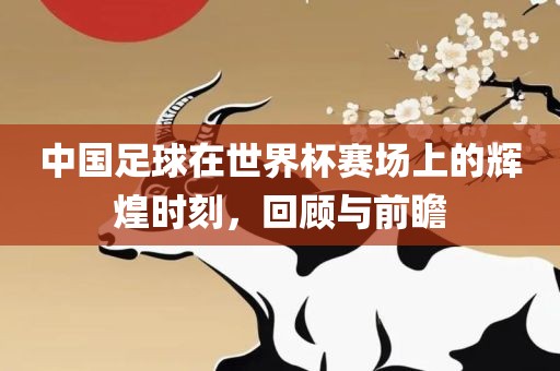 中国漯河市盈旭机械设备有限公司足球在世界杯赛场上的辉煌时刻，回顾与前瞻