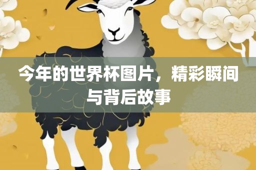 今年的世界杯图片，精彩瞬间与背后故事