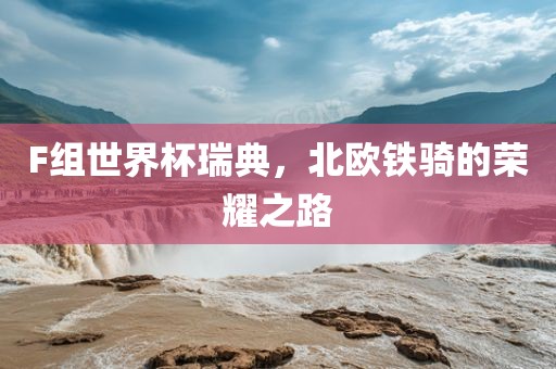 F组世界杯瑞典，北欧铁骑的荣耀之路