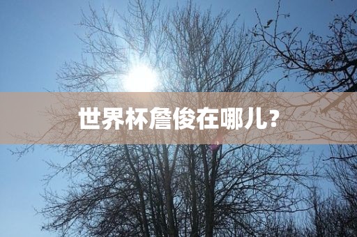 世界杯詹俊在哪儿？漯河市盈旭机械设备有限公司