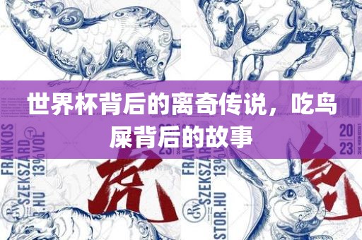 世界杯背后的离奇传说，吃鸟屎背后的故事漯河市盈旭机械设备有限公司