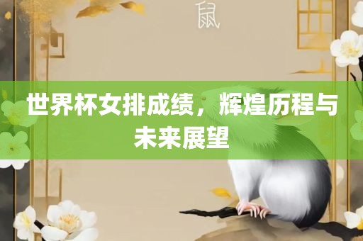 世界杯女排成绩，辉煌历程与未来展望