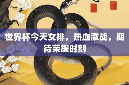 世界杯今天女排，热血激战，期待荣耀时刻