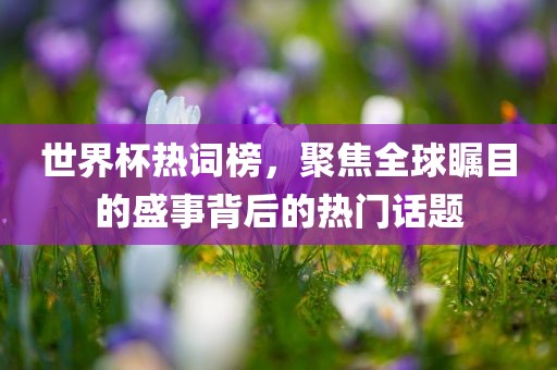 世界杯热词榜，聚焦全球瞩目的盛事背后的热门话题