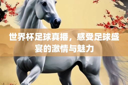 世界杯足球真播，感受足球盛宴的激情与魅力