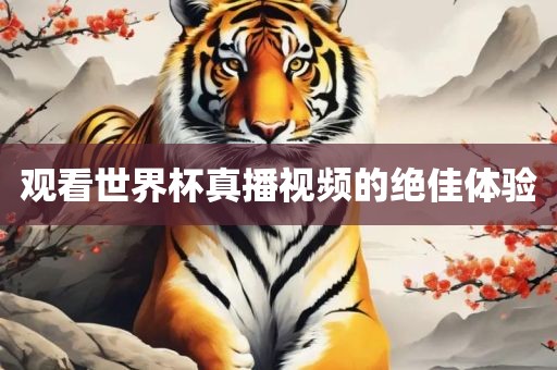 观看世界杯真播视频的绝佳体验漯河市盈旭机械设备有限公司