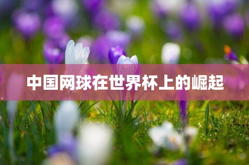 世界杯崛起