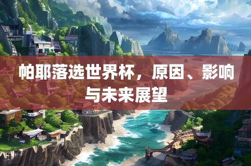 帕耶落选世界杯，原因、影响与未来展望