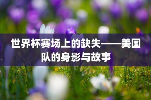 世界杯赛场上的缺失——美国队的身影与故事漯河市盈旭机械设备有限公司