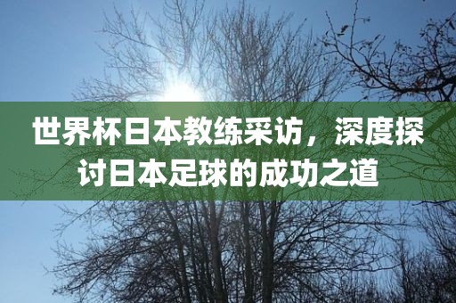 世界杯日本教练采访，深度探讨日本足球的成功之道漯河市盈旭机械设备有限公司