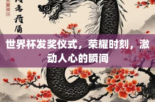 世界杯发奖仪式，荣耀时刻，激动人心的瞬间