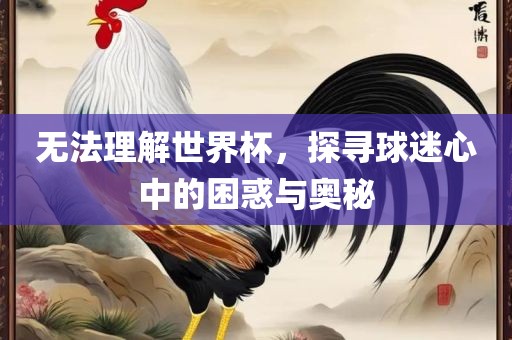 无法理解世界杯，探寻球迷心中的困惑与奥秘