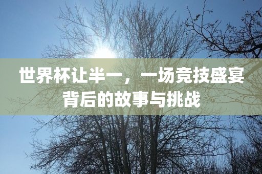 世界杯让半一，一场竞技盛宴背后的故事与挑战