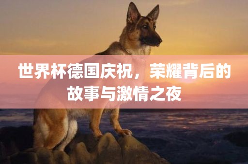 世界杯德国庆祝，荣耀背后的故事与激情之夜