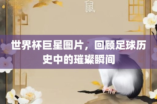 世界杯巨星图片，回顾足球历史中的璀璨瞬间