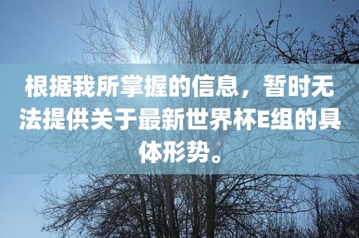 根据我所掌握的信息，暂时无法提供关于最新世界杯E组的具体形势。