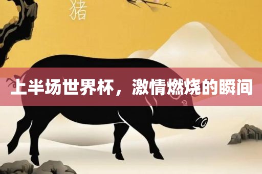 上半场世界杯，激情燃烧的瞬间