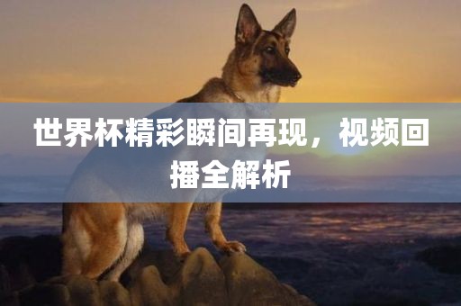 世界杯精彩瞬间再现，视频回播全解析