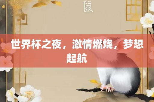 世界杯之夜，激情燃烧，梦想起航