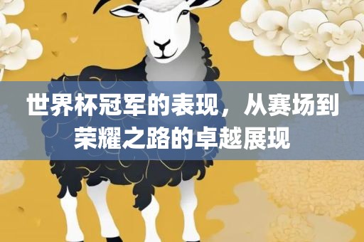 世界杯冠军的表现，从赛场到荣耀之路的卓越展现