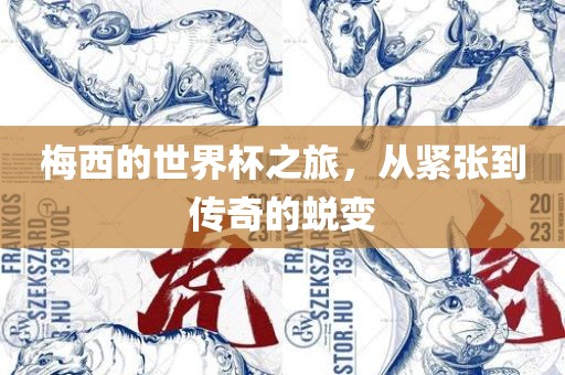 梅西的世界杯之旅，从紧张到传奇的蜕变