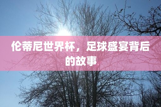 伦蒂尼世界杯，足球盛宴背后的故事