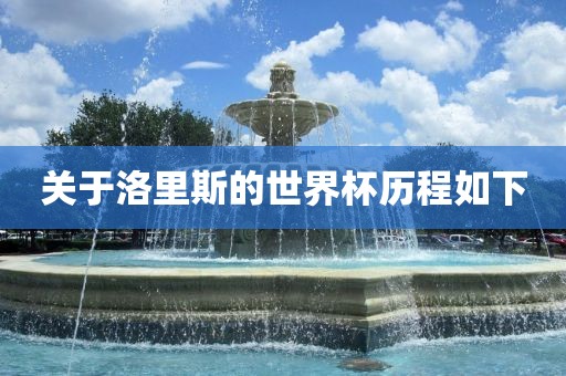 关于洛里斯的世界杯历程如下漯河市盈旭机械设备有限公司