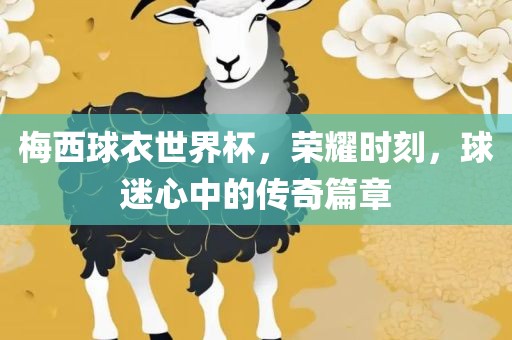 梅西球衣世界杯，荣耀时刻，球迷心中的传奇篇章
