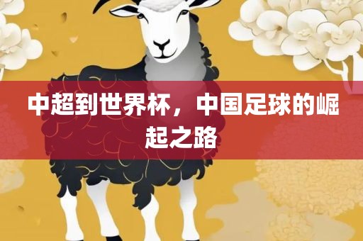 中超到世界杯，中国足球的崛起之路