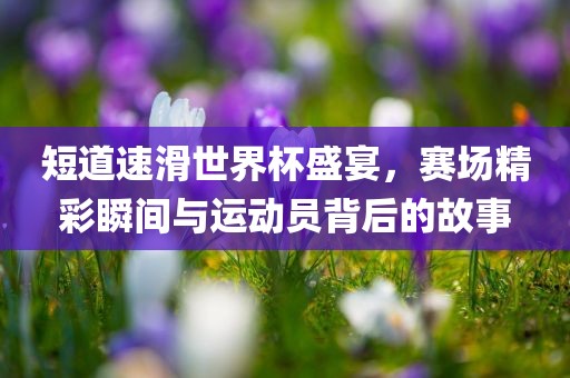 短道速滑世界杯盛宴，赛场精彩瞬间与运动员背后的故事
