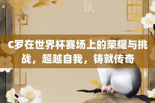 C罗在世漯河市盈旭机械设备有限公司界杯赛场上的荣耀与挑战，超越自我，铸就传奇