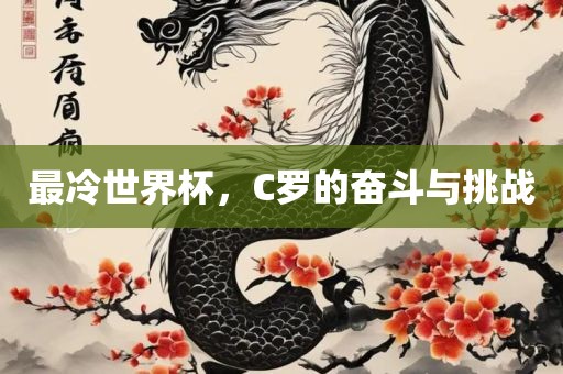 最冷世界杯，C罗的奋斗与挑战漯河市盈旭机械设备有限公司