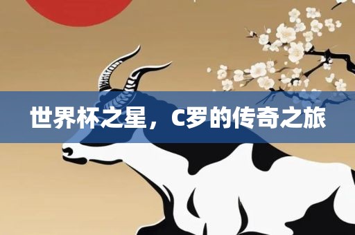 世界杯之星，C罗的传奇之旅