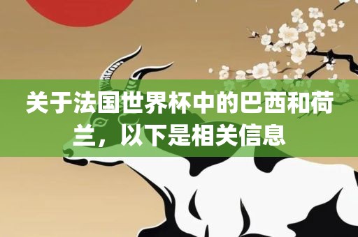 关于法国世界杯中的巴西和荷兰，以下是相关信息